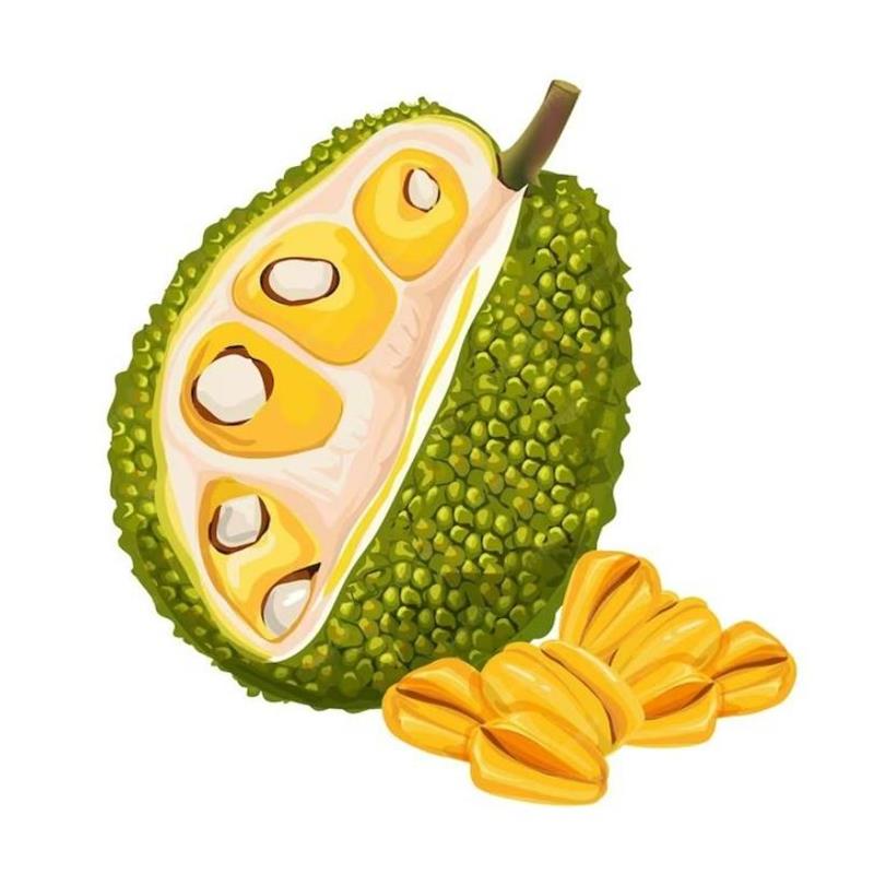 Hình Vẽ Trái Cây Đơn Giản
