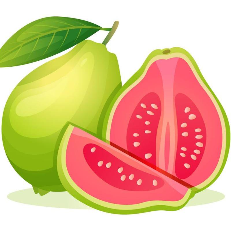 Hình Vẽ Trái Cây Đơn Giản