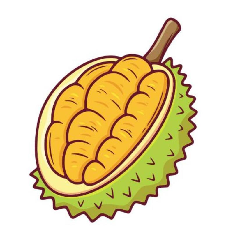 Hình Vẽ Trái Cây Đơn Giản