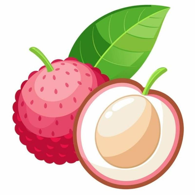 Hình Vẽ Trái Cây Đơn Giản