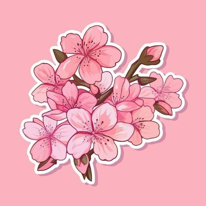 Hoa Anh Đào Vẽ