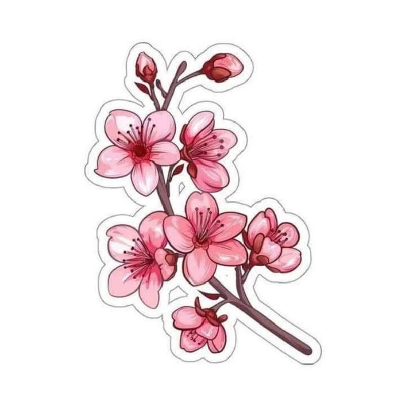 Hoa Anh Đào Vẽ