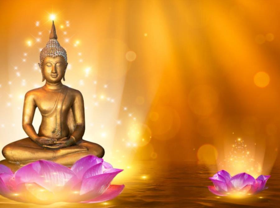 Hình hoa sen hồng trong Phật giáo