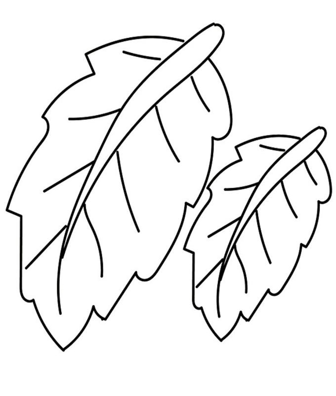 Hình vẽ lá chuối