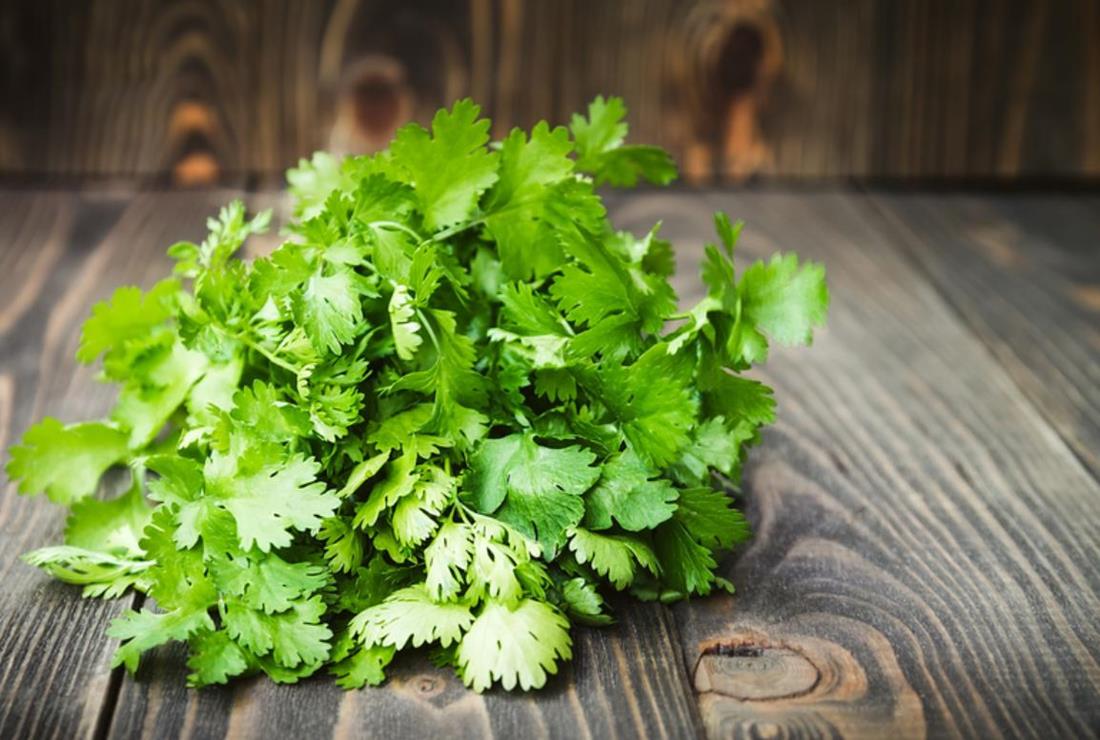 Tổng hợp các loại rau mùi