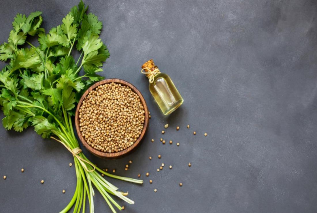 Tổng hợp các loại rau mùi