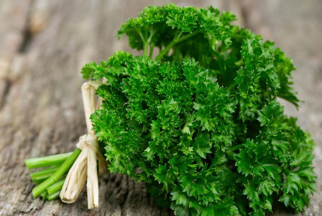 Tổng hợp các loại rau mùi