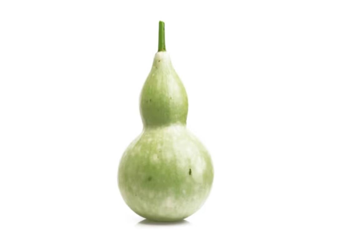 Hình ảnh quả bầu