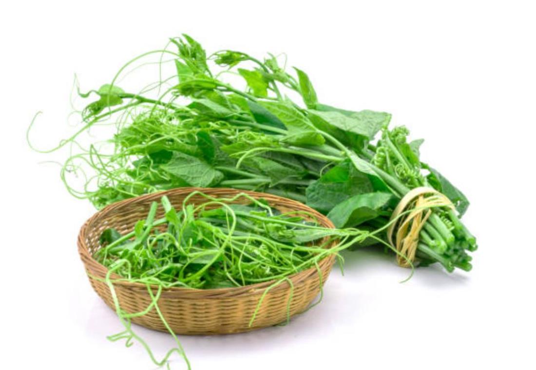 Tìm hiểu hình ảnh rau su su