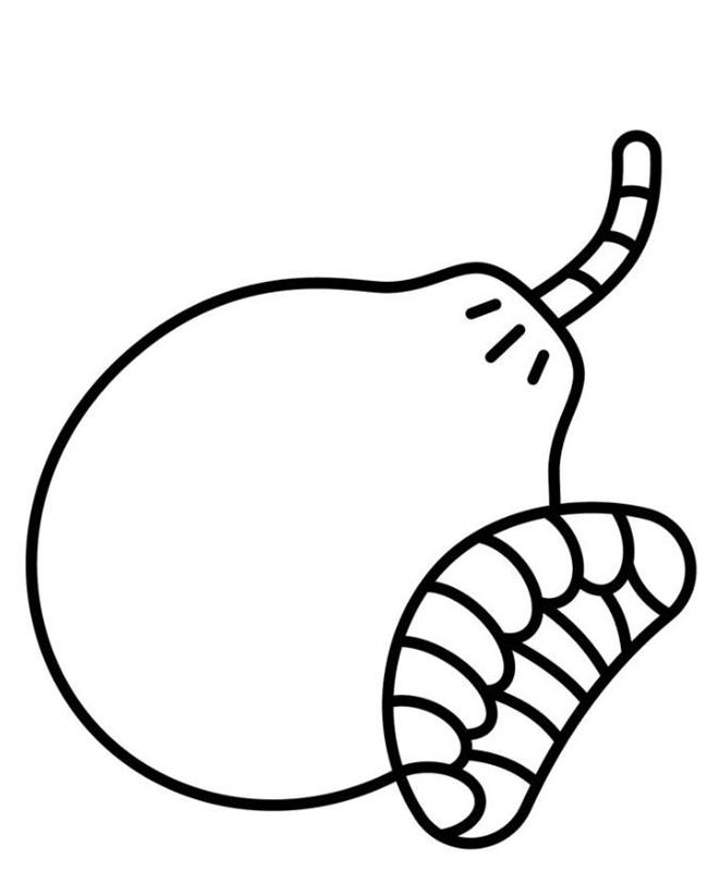Tô Màu Quả Bưởi