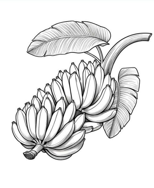 Tô Màu Quả Chuối