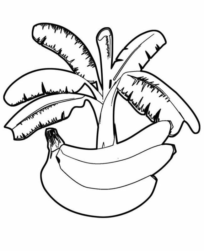 Tô Màu Quả Chuối