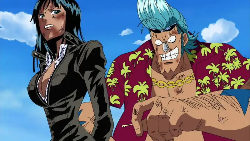 Hình ảnh Franky và Robin