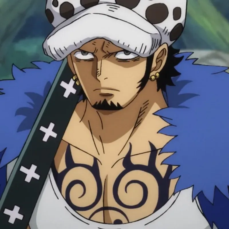 Trafalgar D Water Law Hand dấu ấn bí hiểm trên bàn tay Trafalgar Law