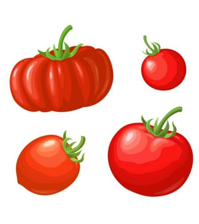 hình vẽ cà chua