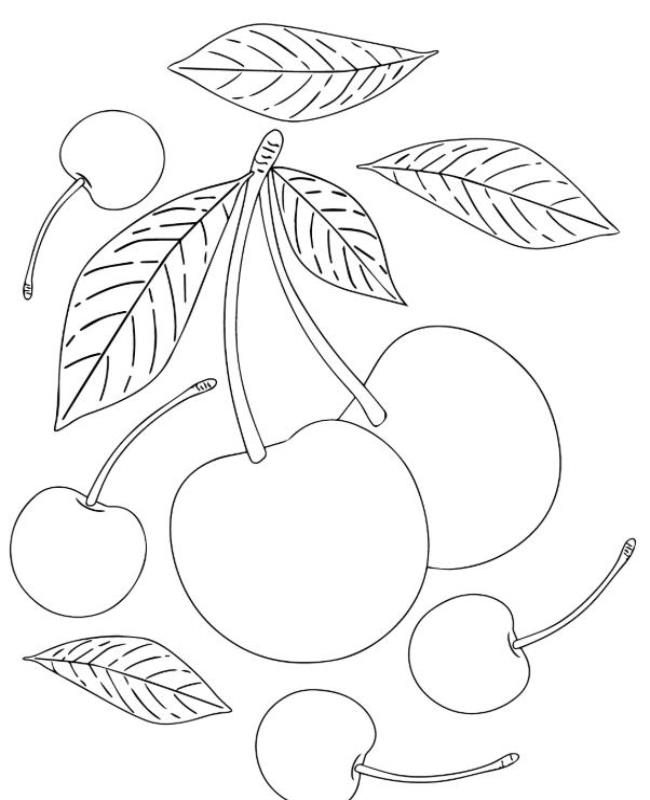 Tranh Tô Màu Quả Cherry