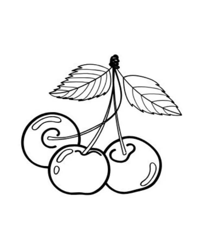 Tranh Tô Màu Quả Cherry