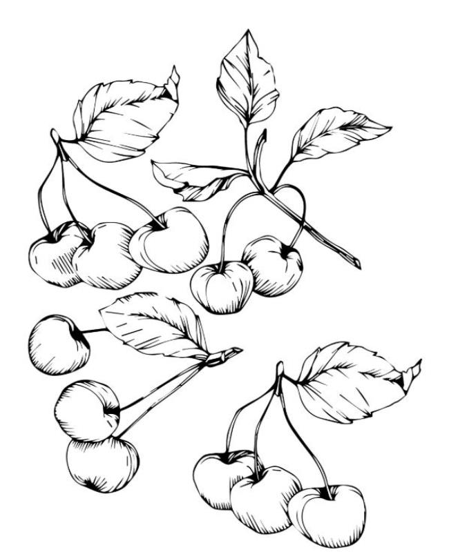 Tranh Tô Màu Quả Cherry