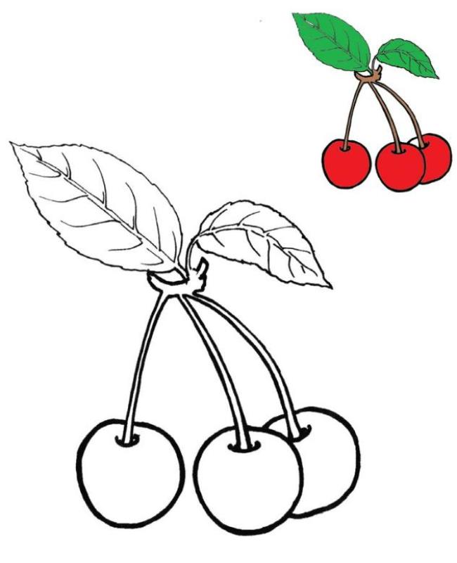 Tranh Tô Màu Quả Cherry