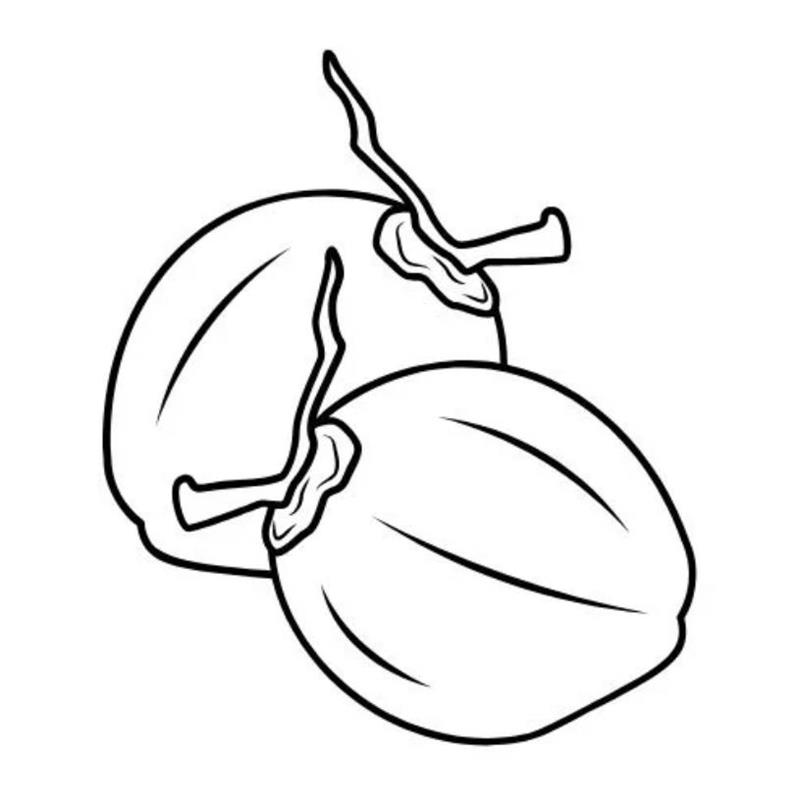 Tranh Tô Màu Quả Dừa