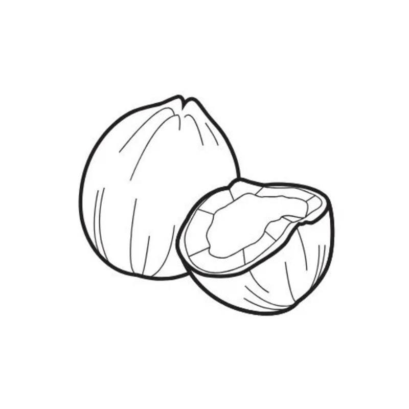 Tranh Tô Màu Quả Dừa
