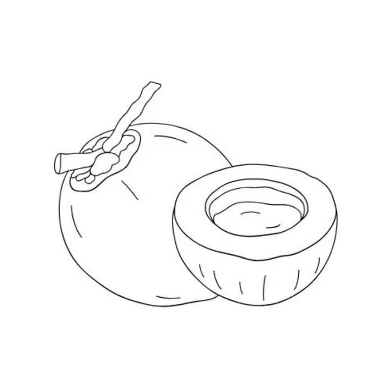 Tranh Tô Màu Quả Dừa
