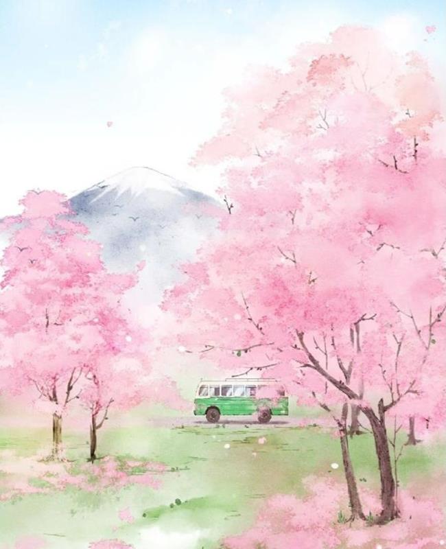 Vẽ Hoa Anh Đào Anime