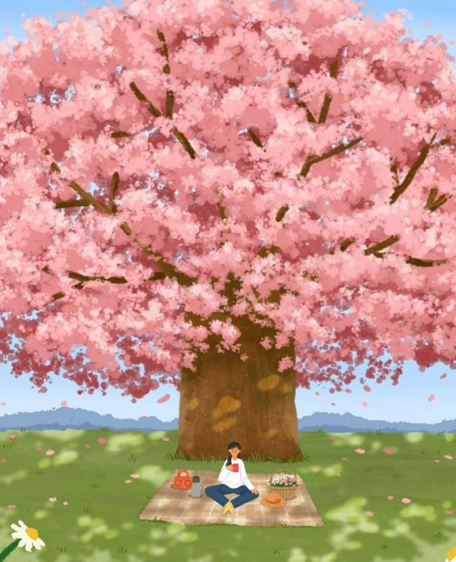 Vẽ Hoa Anh Đào Anime