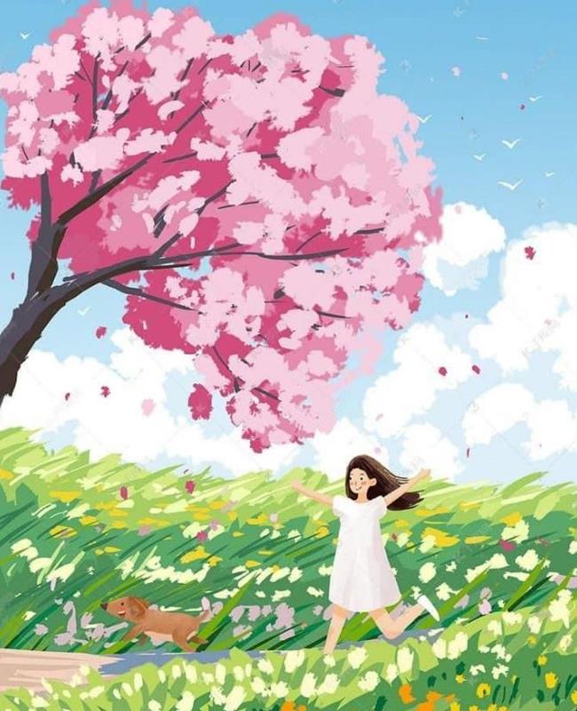 Vẽ Hoa Anh Đào Anime