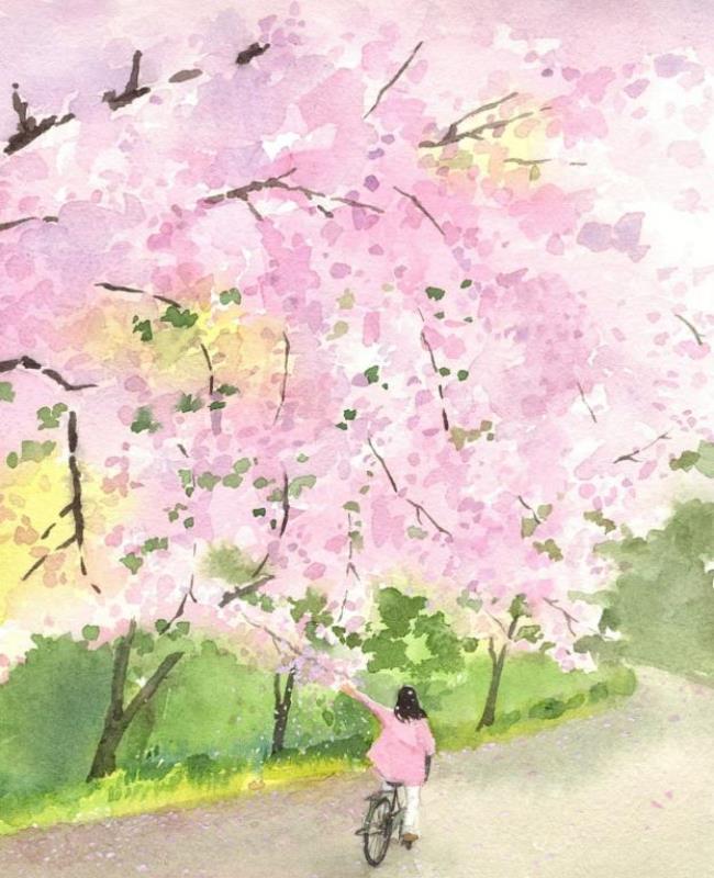 Vẽ Hoa Anh Đào Anime