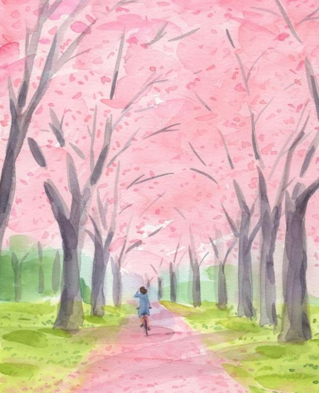 Vẽ Hoa Anh Đào Anime