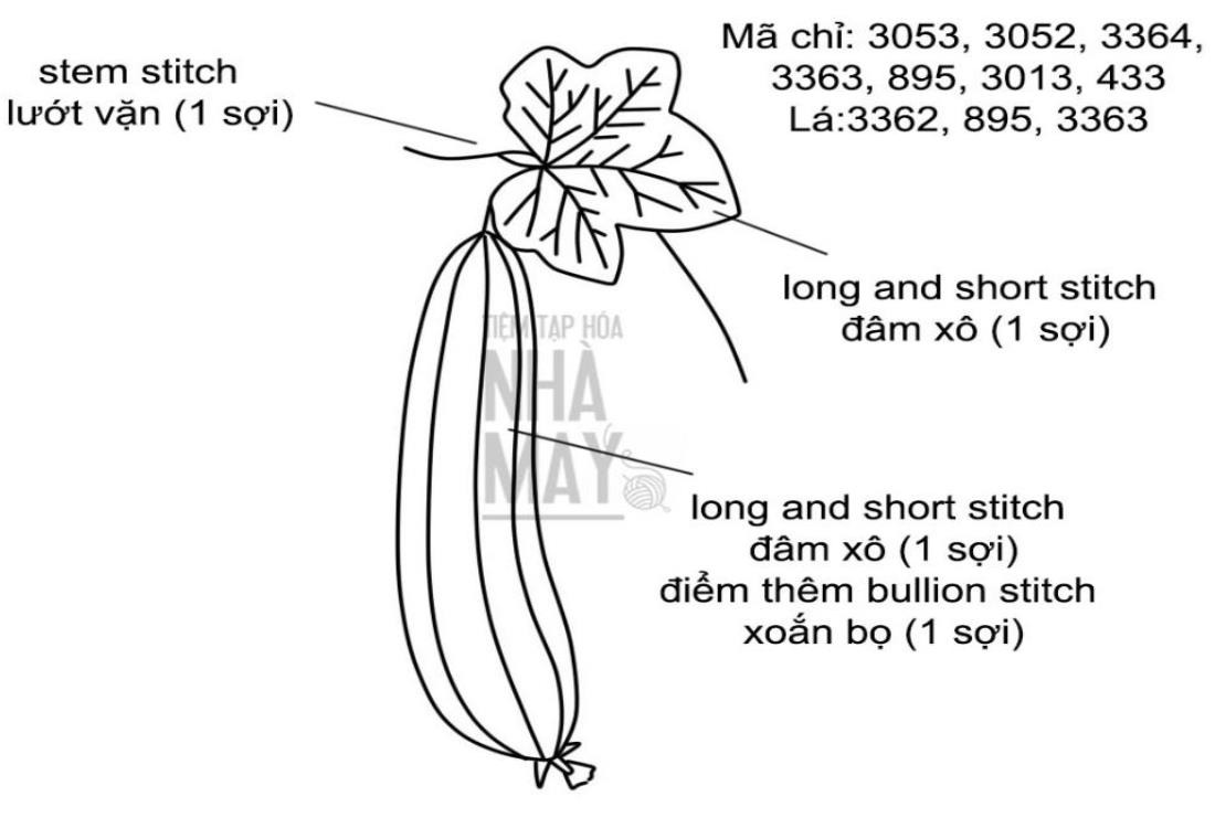 Tô màu quả mướp
