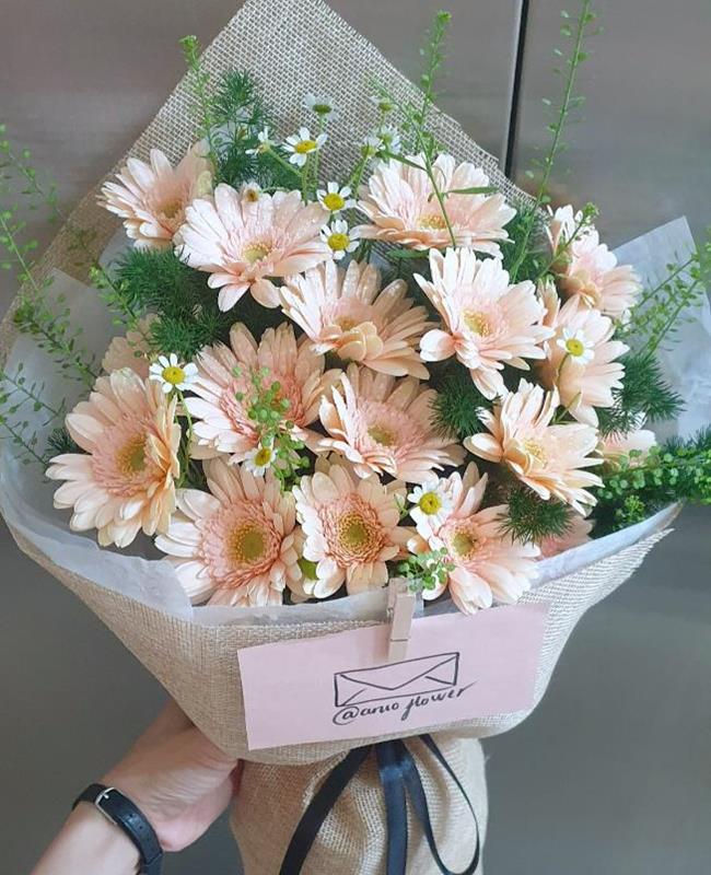 Ảnh Hoa Đồng Tiền Đẹp