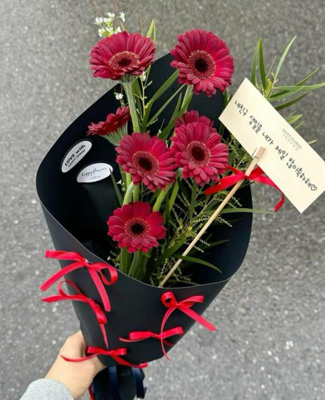 Ảnh Hoa Đồng Tiền Đẹp