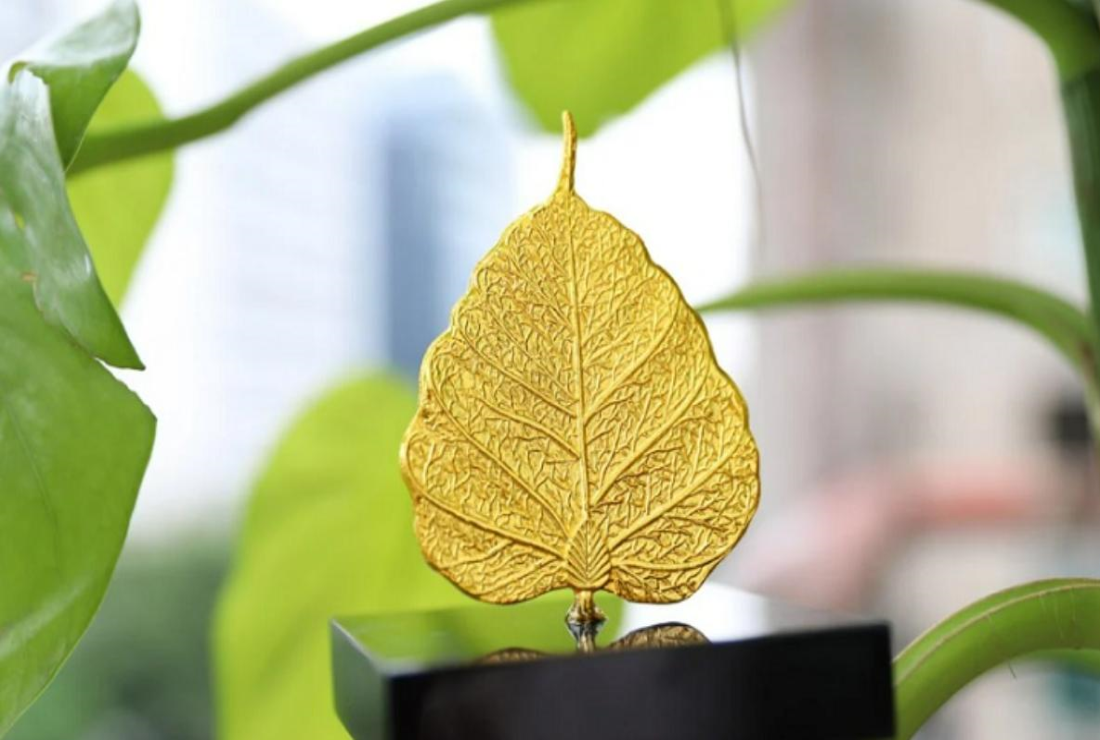 Chiêm ngưỡng hình nền lá Bồ Đề đẹp cho máy tính