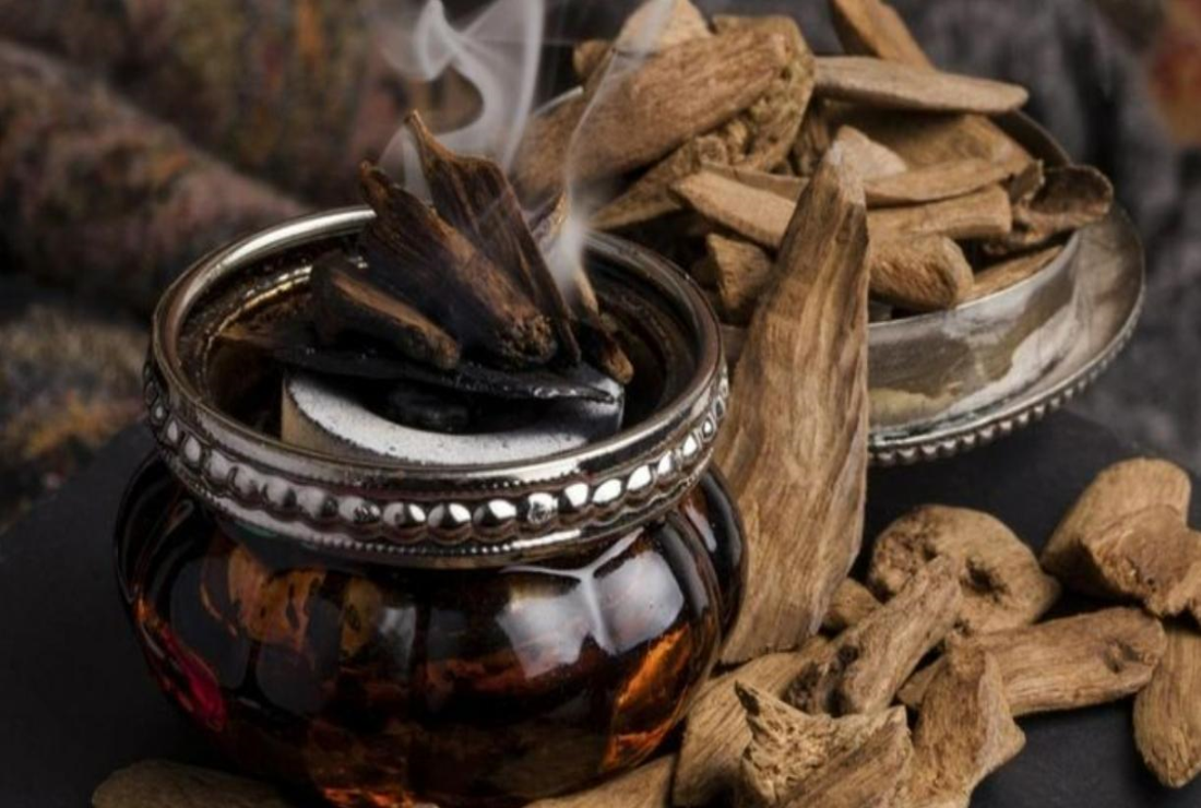 Khám phá hình ảnh cây trầm Hương