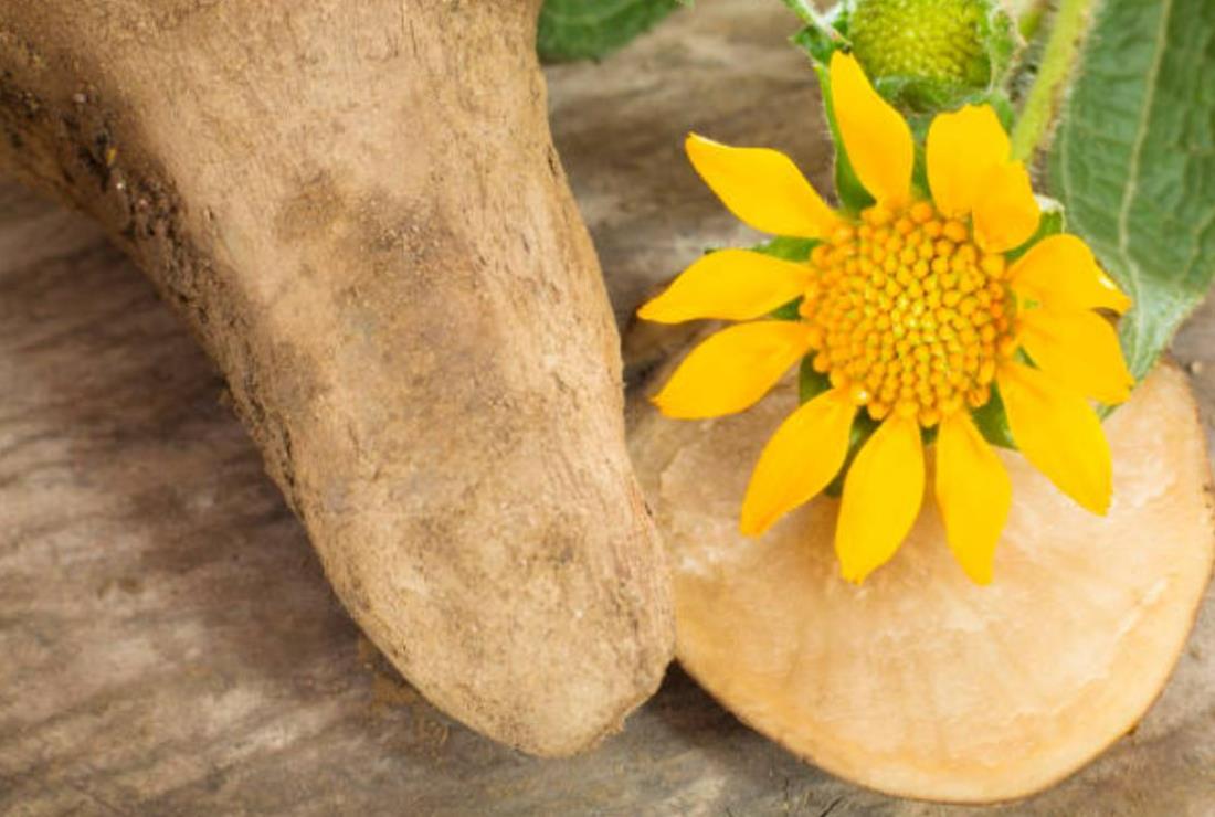 Tổng hợp hình ảnh cây sâm đất