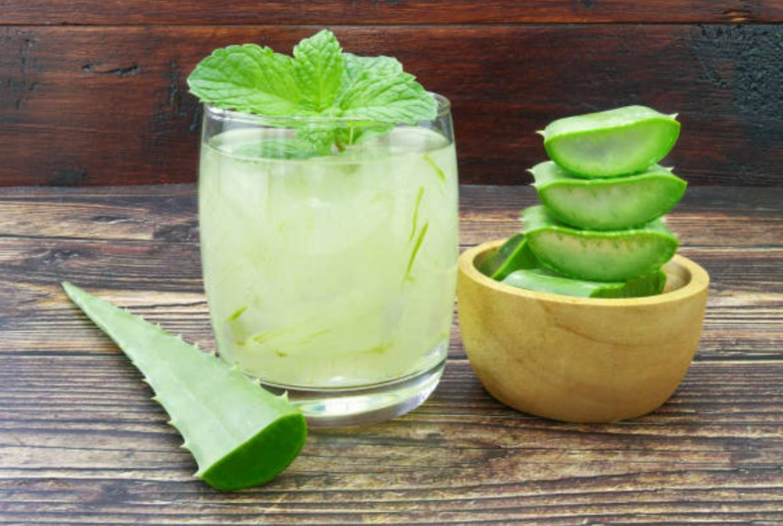 Công dụng của cây nha đam