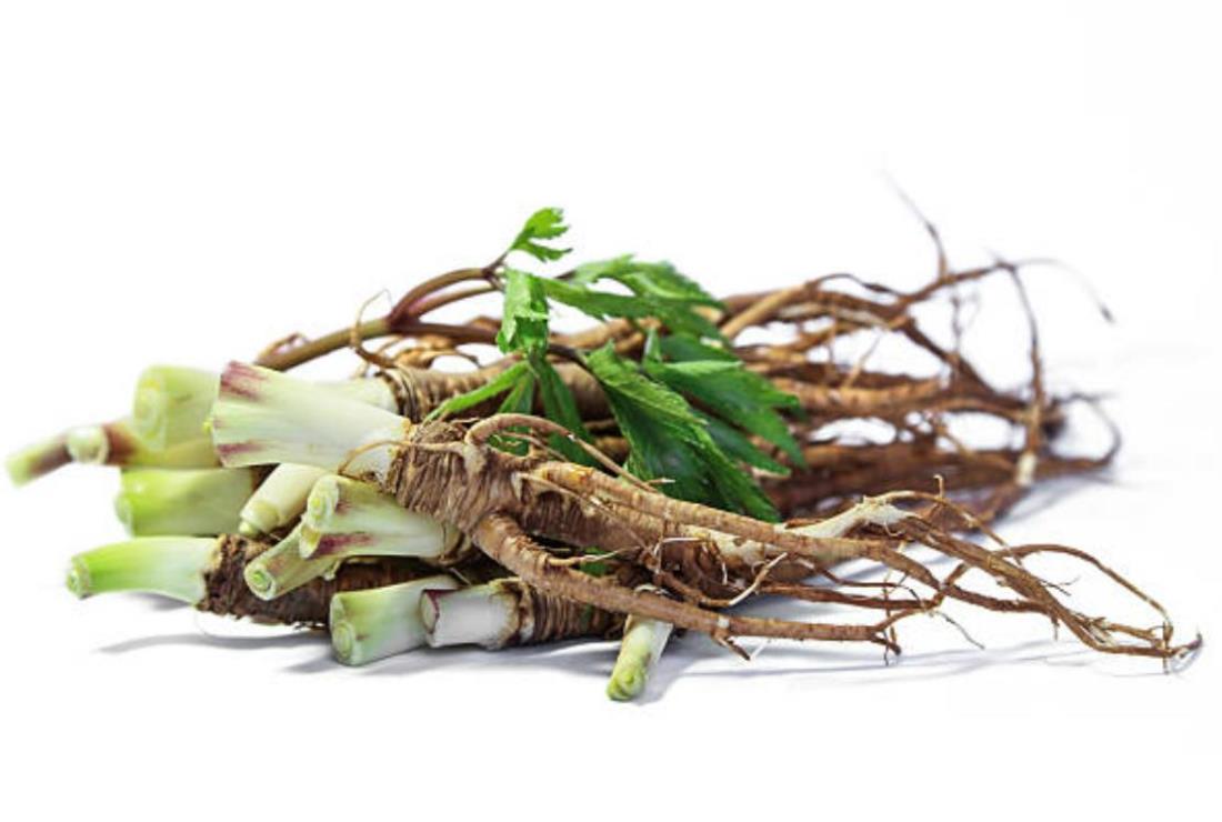 Hình ảnh củ sâm đương quy