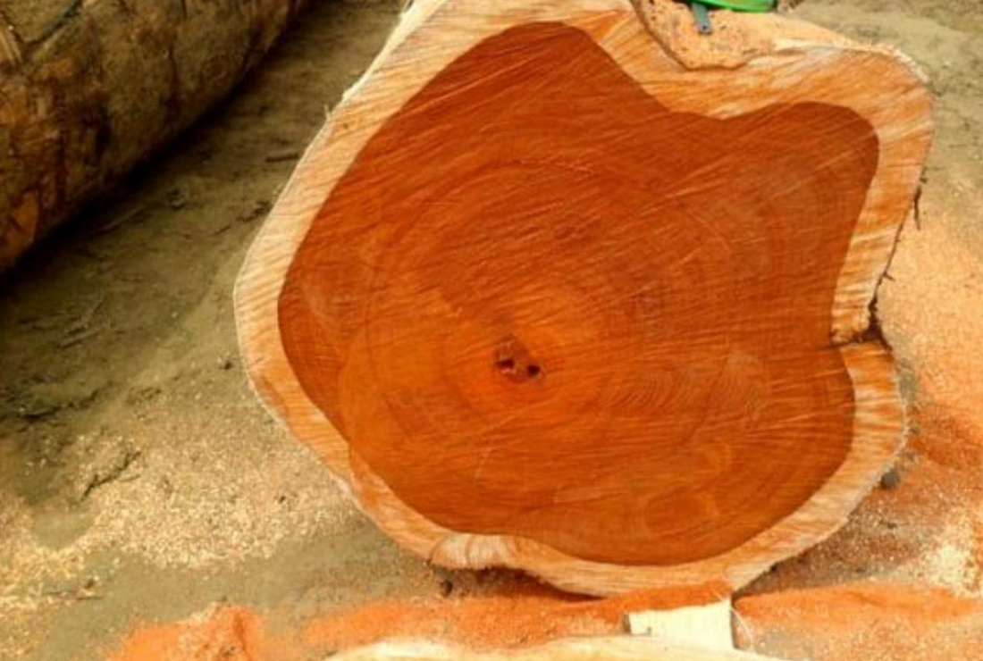 Bộ sưu tập hình ảnh gỗ cẩm lai đẹp