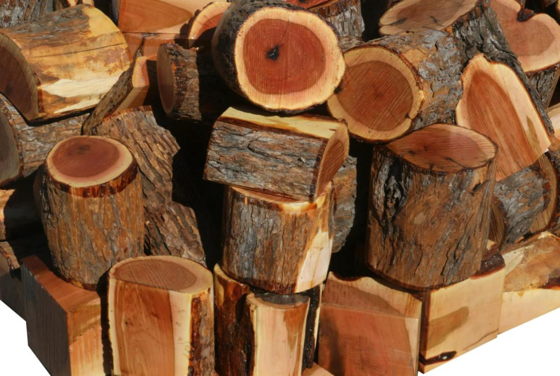 Tổng hợp hình ảnh cây gỗ lim xanh