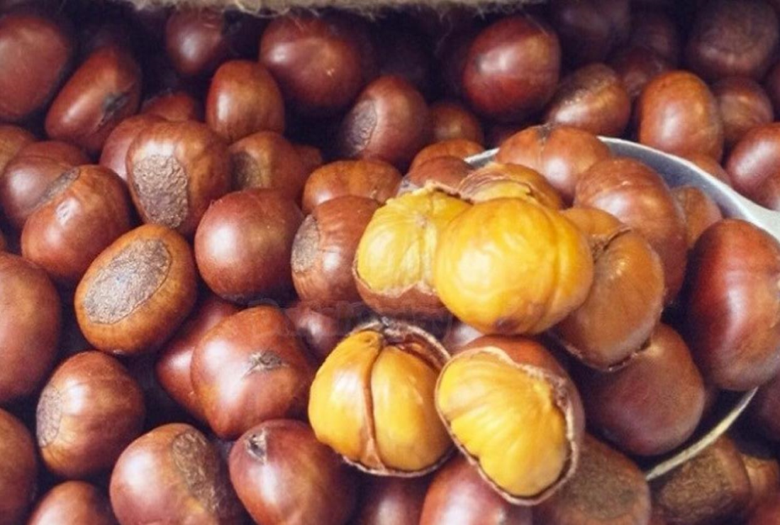 Bộ sưu tập hình ảnh hạt dẻ