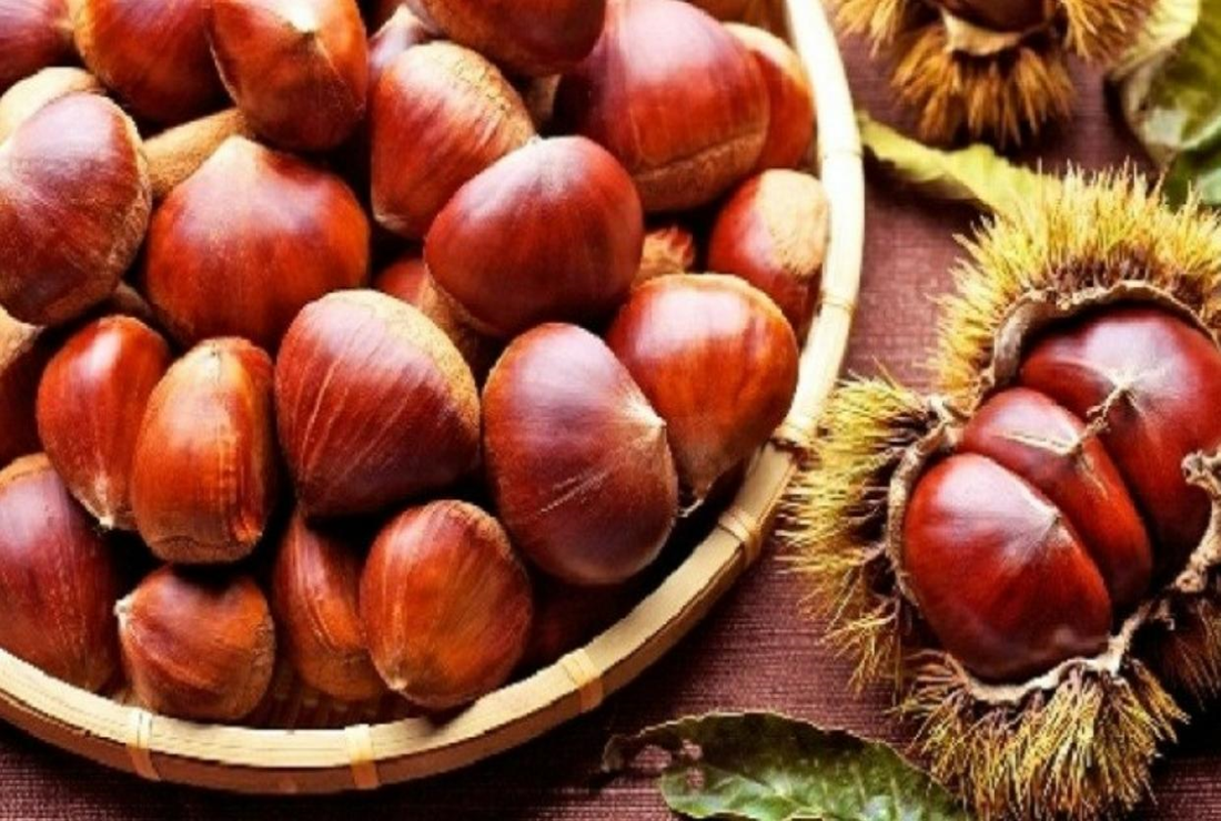 Bộ sưu tập hình ảnh hạt dẻ