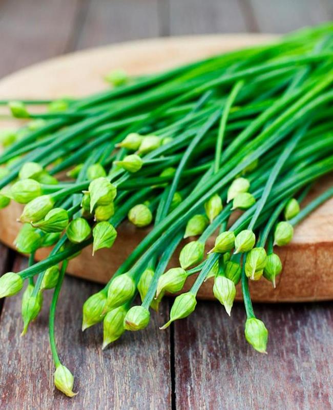 Hình Ảnh Cây Hẹ