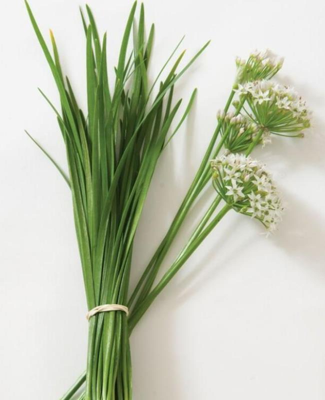 Hình Ảnh Cây Hẹ