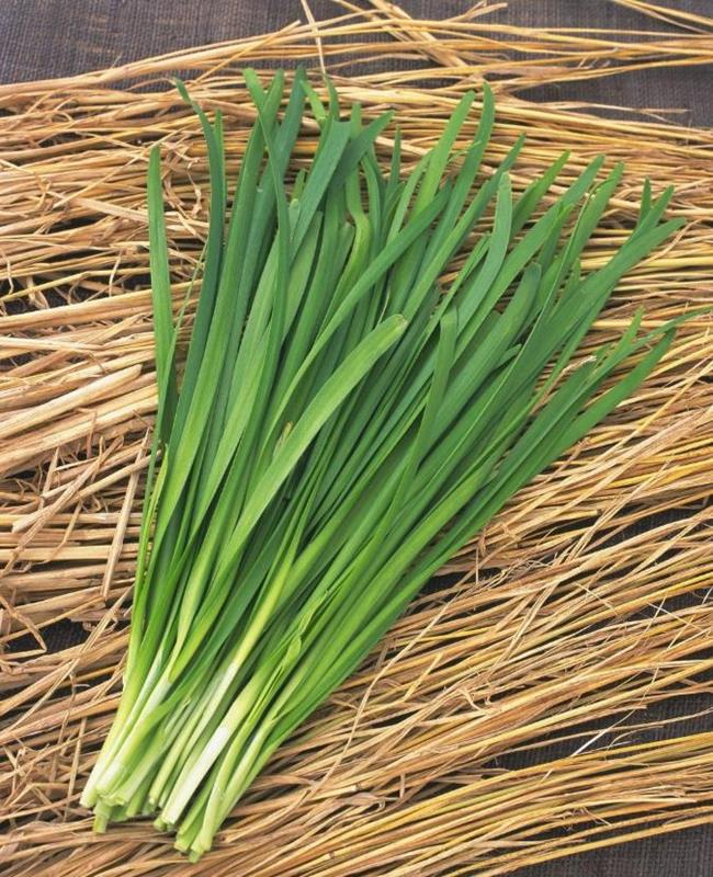 Hình Ảnh Cây Hẹ
