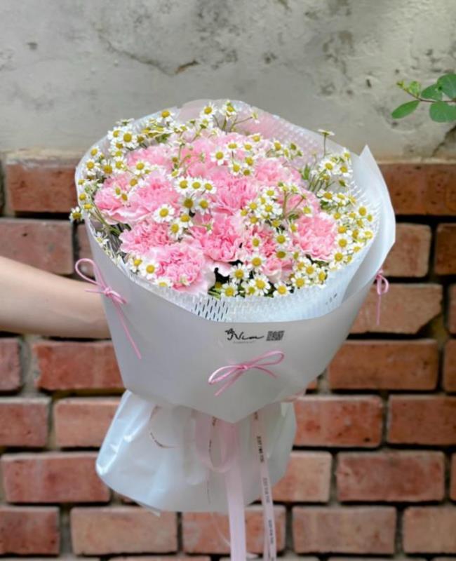 Hình Ảnh Hoa Cẩm Chướng