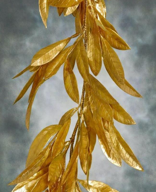 Hình Ảnh Hoa Nguyệt Quế