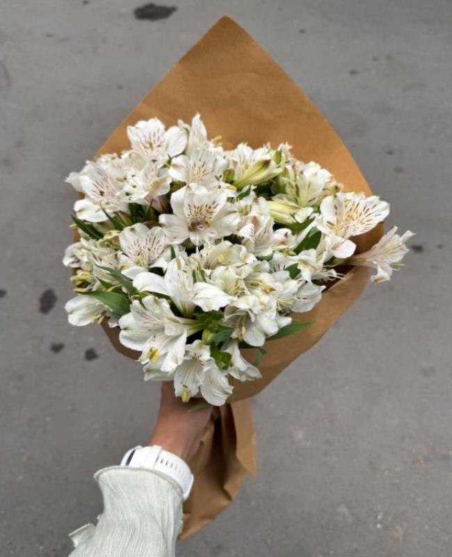 Hình Ảnh Hoa Thủy Tiên