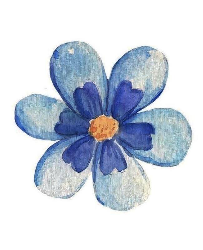 Hình Vẽ Hoa Lưu Ly